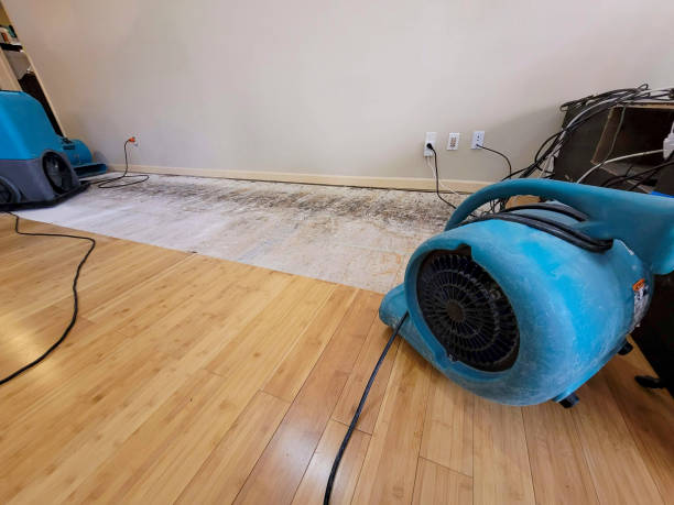 Reliable Basement Flood Cleanup contractor in Franklinton, NC by Hirex Water Damage