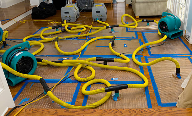 Professional Basement Flood Cleanup technician working in Franklinton, NC
